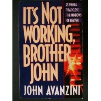 It's Not Working Brother John by  John F. Avanzini 